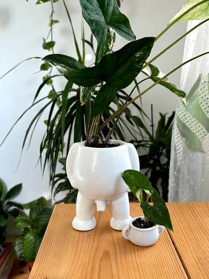 Faugettt Ceramic Relief Pot & Potty