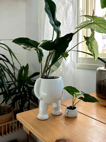 Faugettt Ceramic Relief Pot & Potty